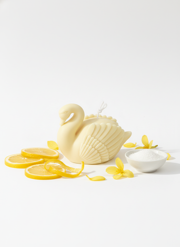 swan_24