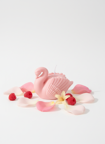 swan_26